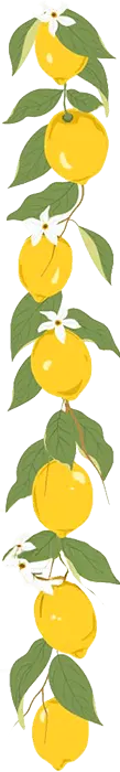 zitronen